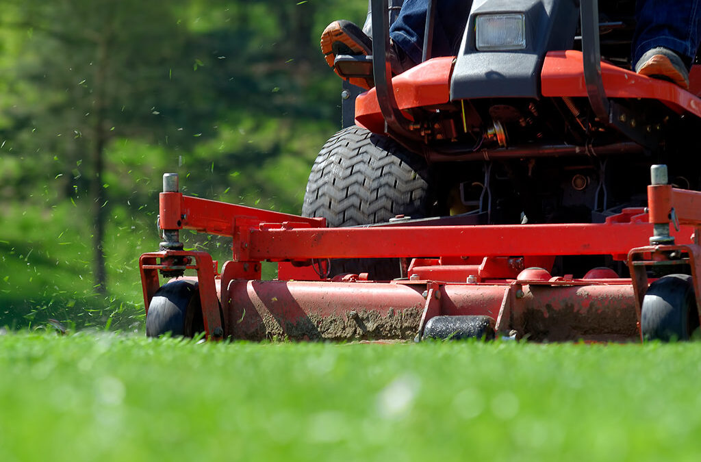 6 Lawn Mowing Tips Every Homeowner Should Know