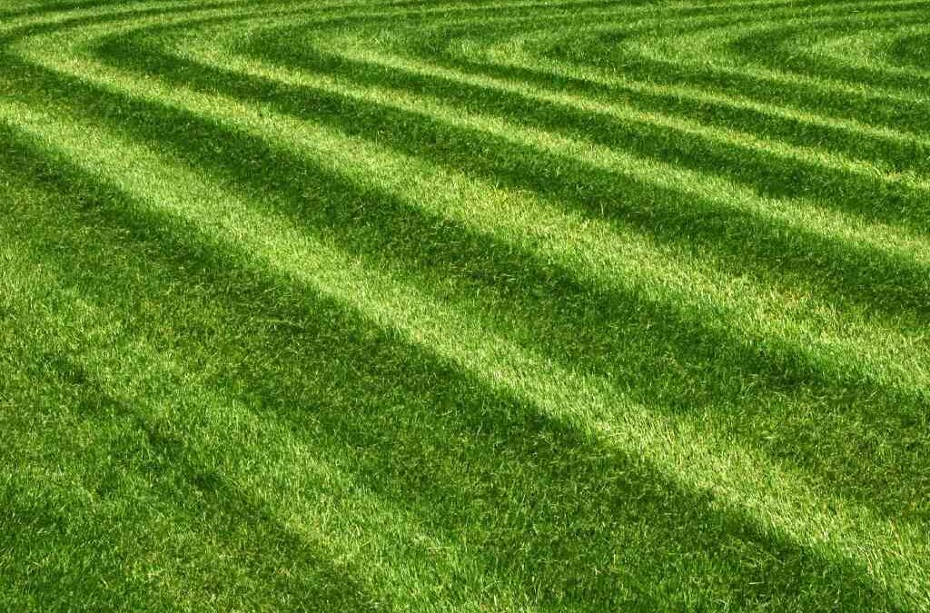 Five Reasons Why Mowing The Lawn Is Significant